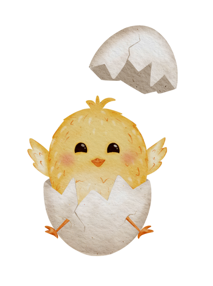 Adorable Easter Bird Set. Colorful Hand-Drawn Chickens and Eggs for Kids' Holiday Celebrations png