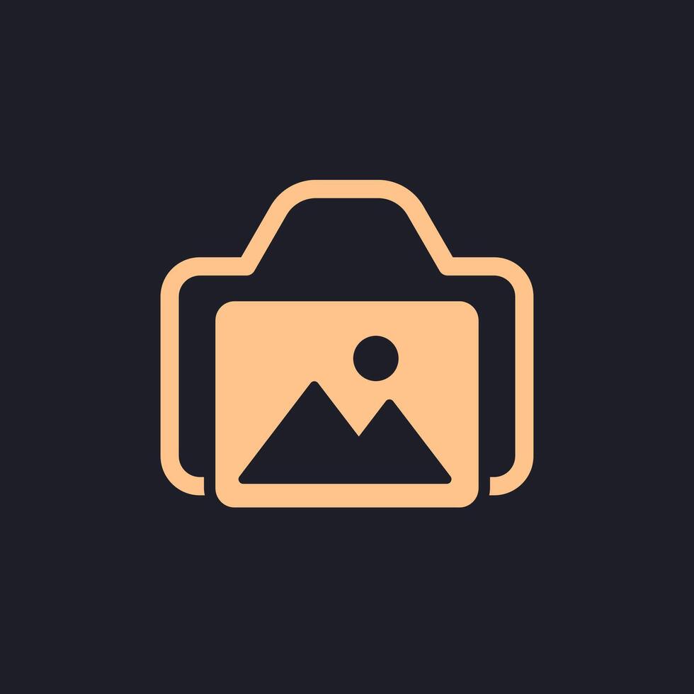 camera and photo icon, pictogram vector