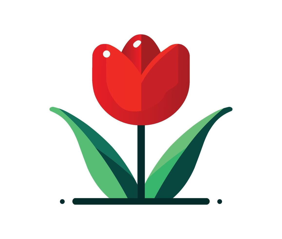 Red tulip isolated on white background vector