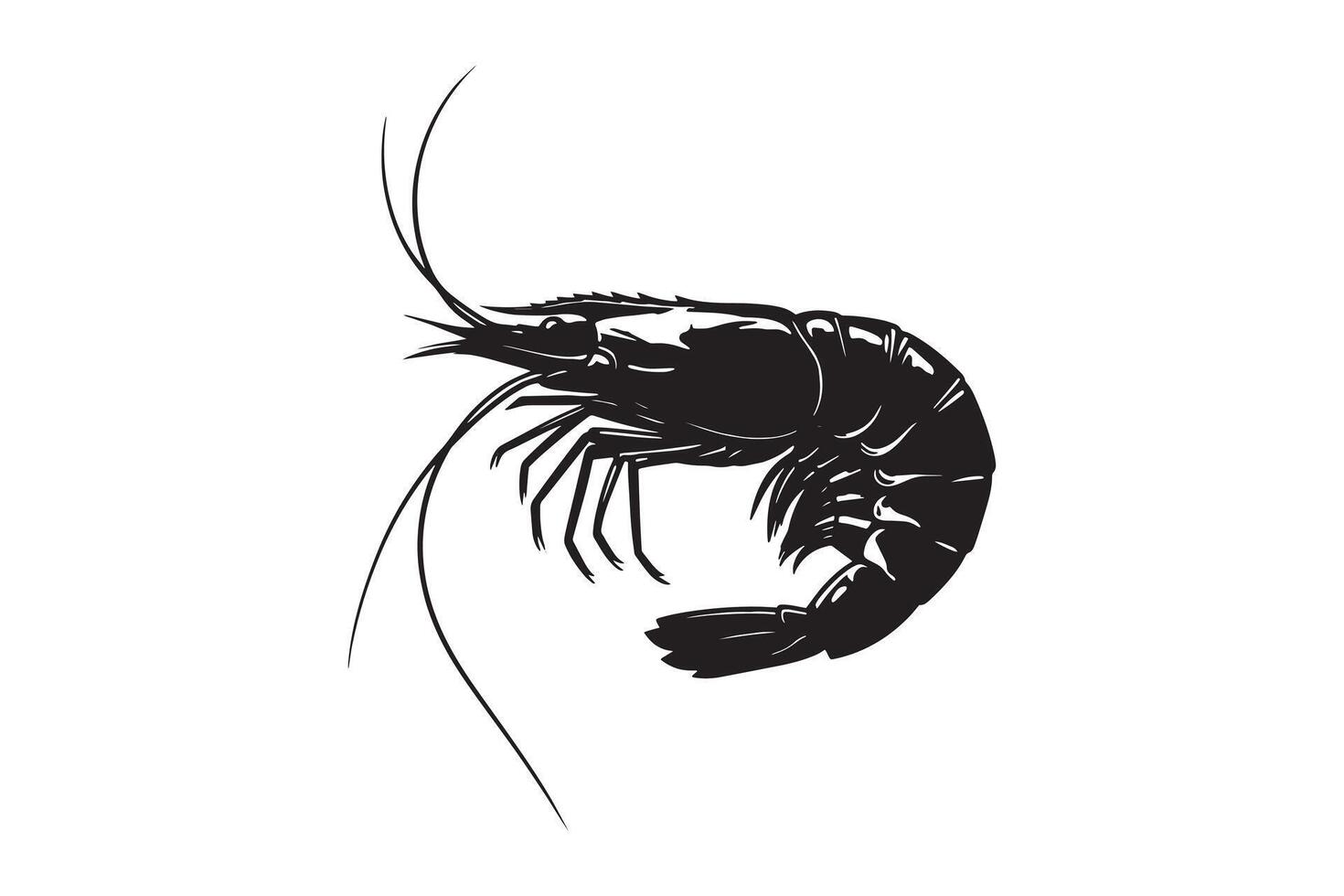 Seafood Shrimp Illustration Simple Design Artistic Shrimp Silhouette vector