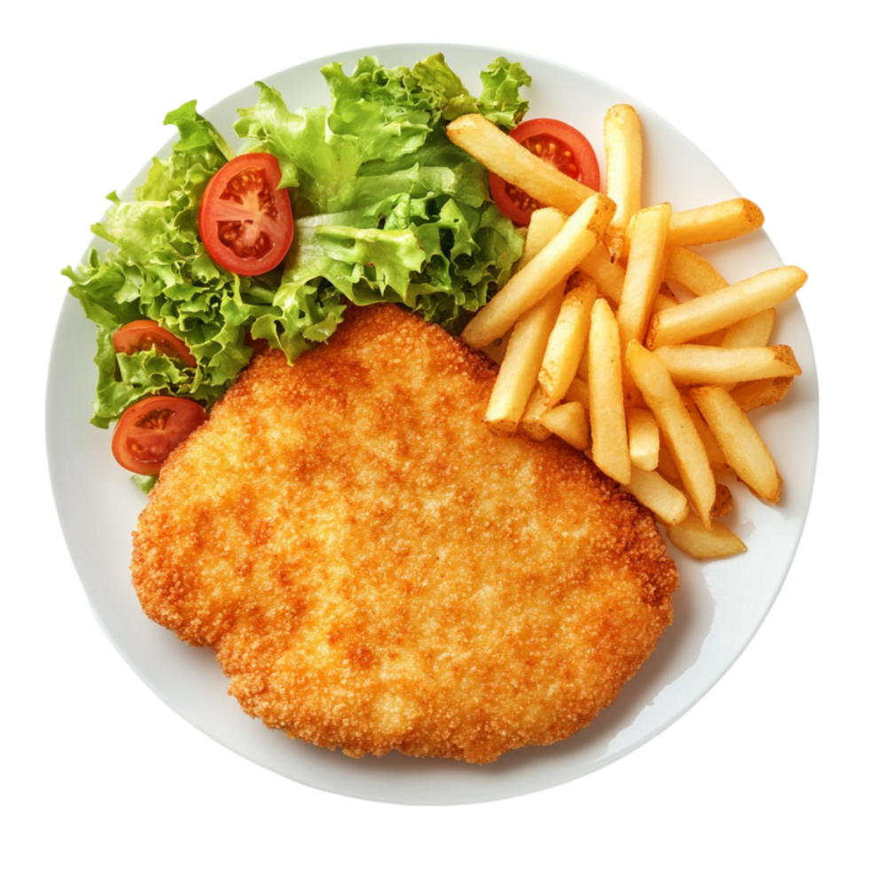 Fried Chicken Schnitzel with Fries png