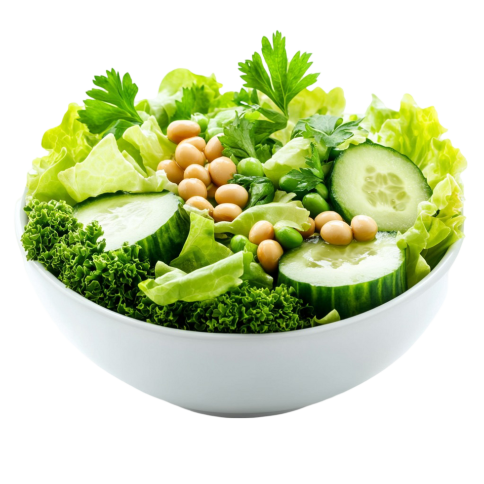 Vegetable Salad with Chickpeas png