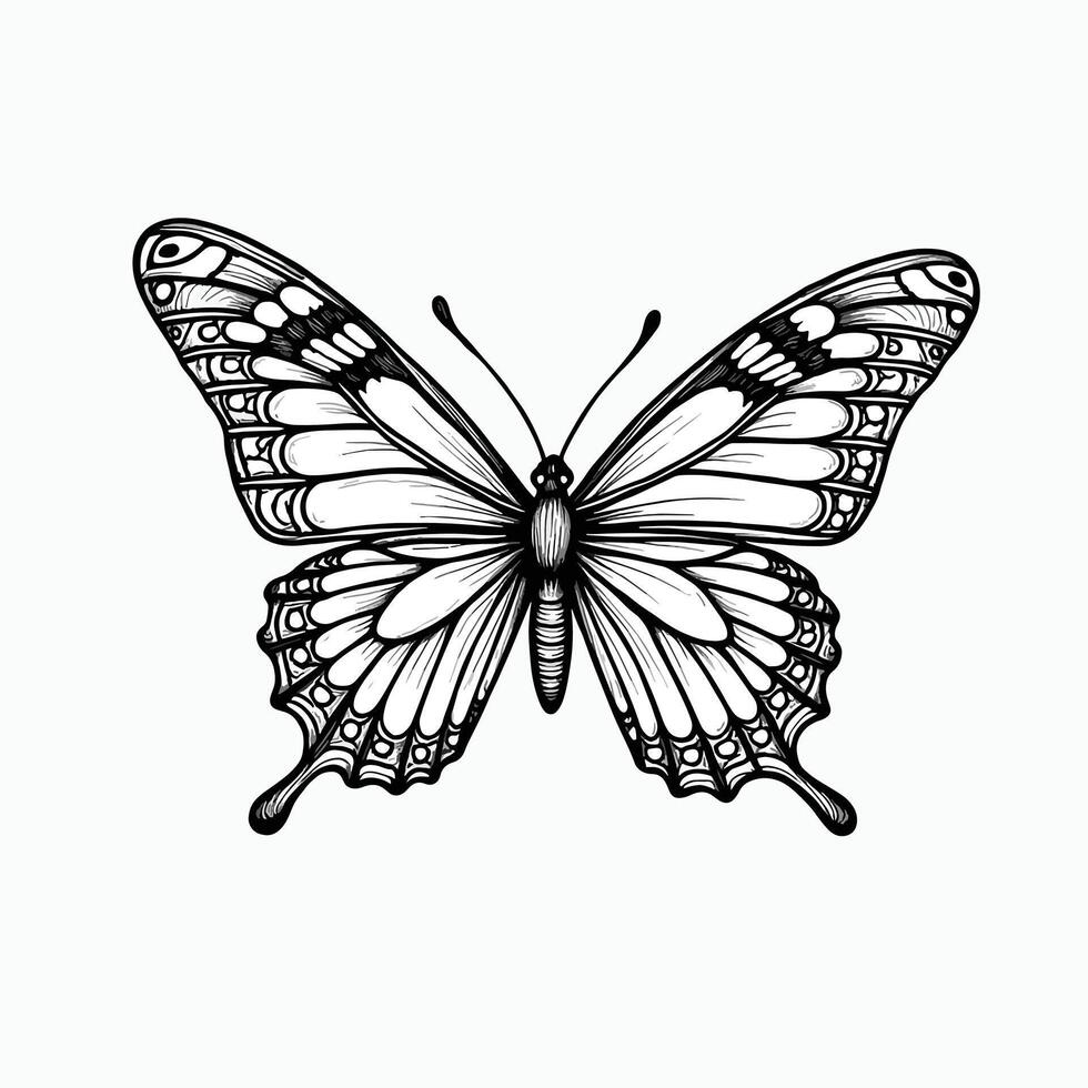 Hand drawn butterfly illustration coloring image vector