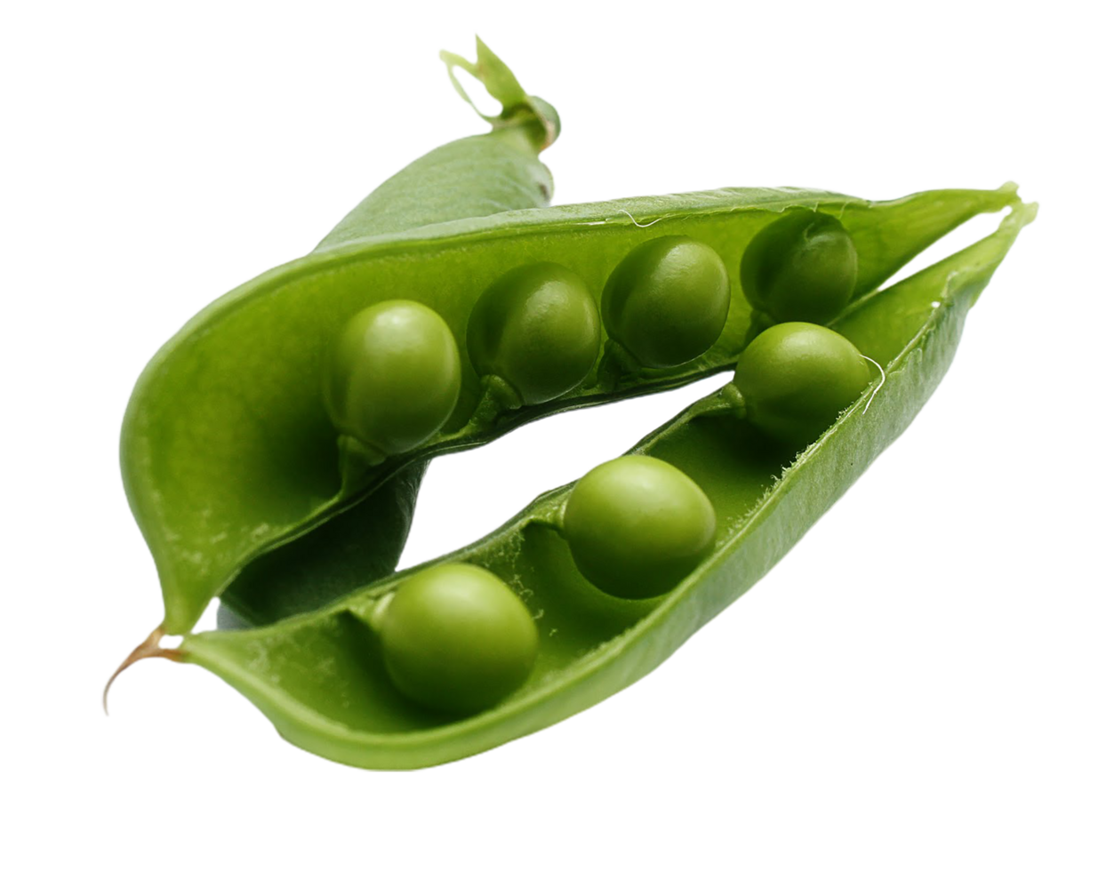 Green Peas and Beans Layout on Transparent Surface png