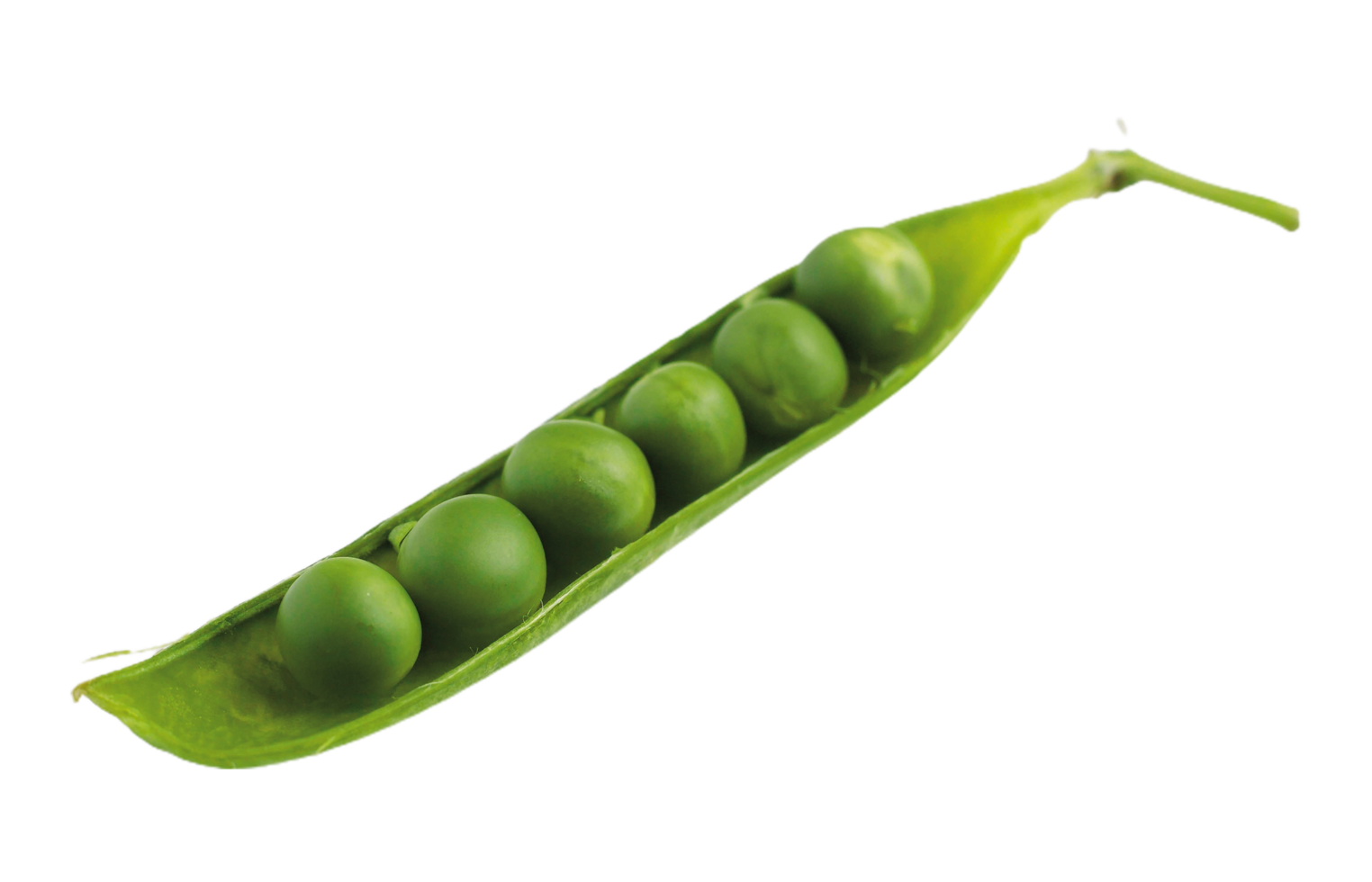 Peas and Beans Clean Display on Clear Background png