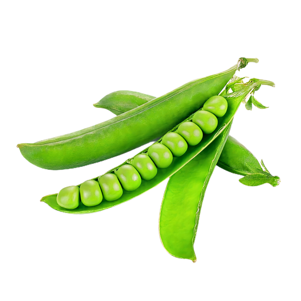 Green Legumes Pair on Transparent Surface Display png