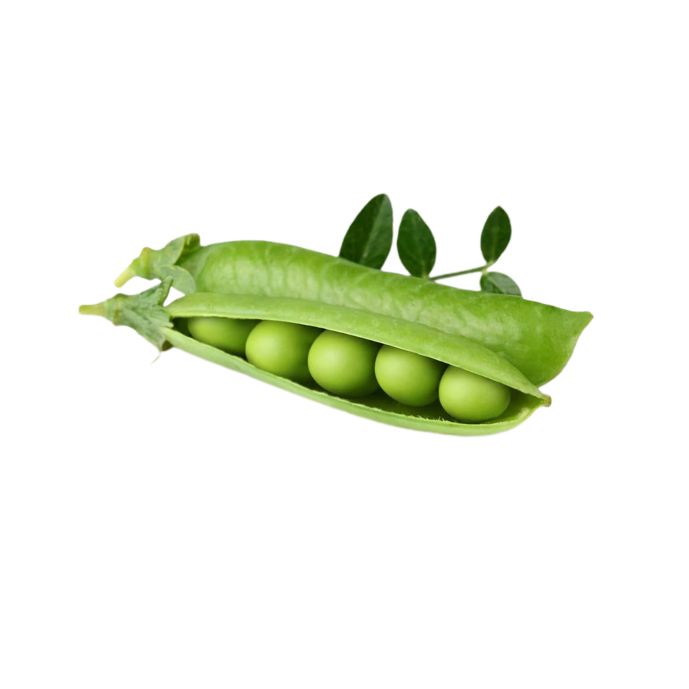 Simple Transparent Background Design with Green Peas and Beans png