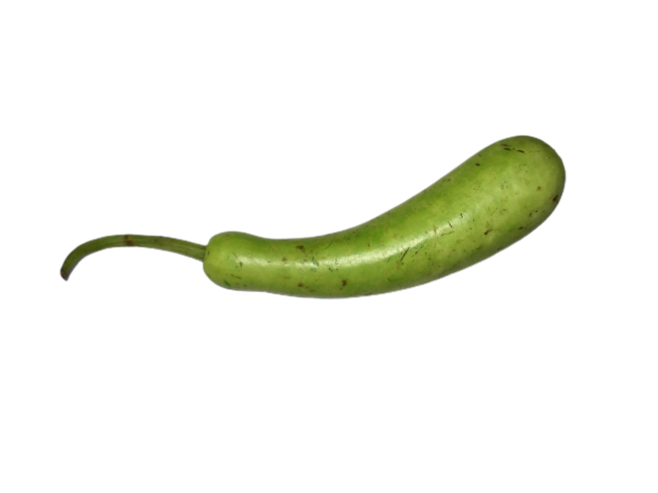 A green pepper on a transparent background png
