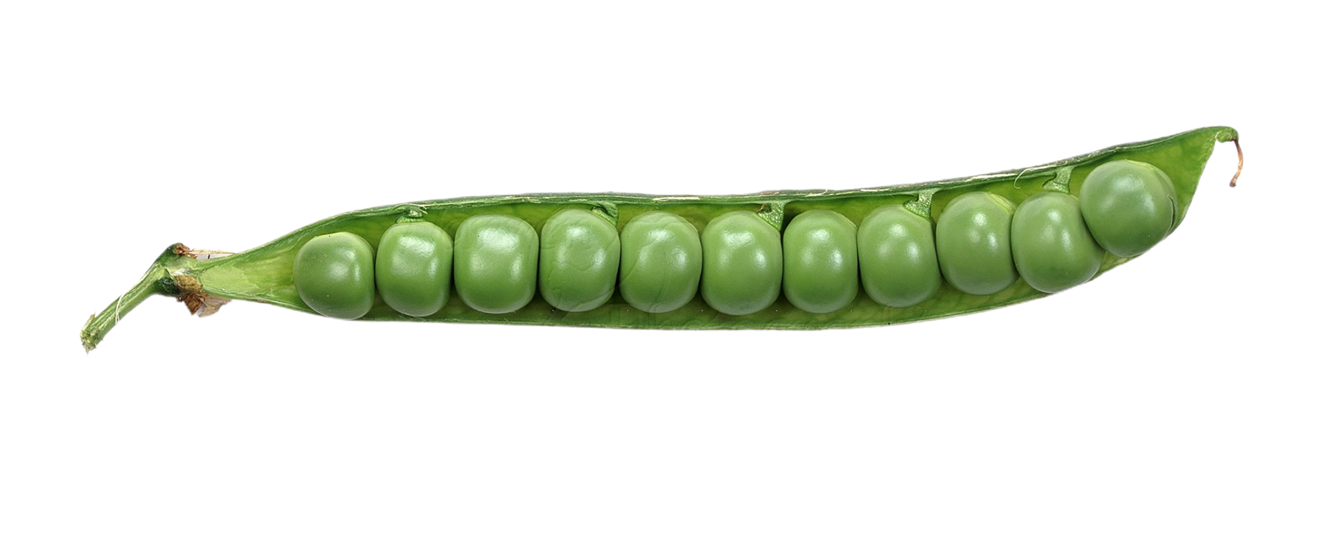 Fresh Green Legumes Peas and Beans on Transparency png