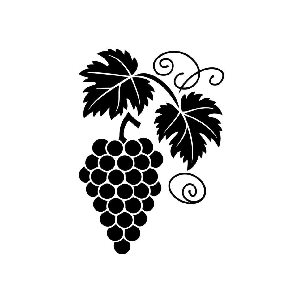 Grapes Icon With Decorative Ribbon Black And White Background. vector