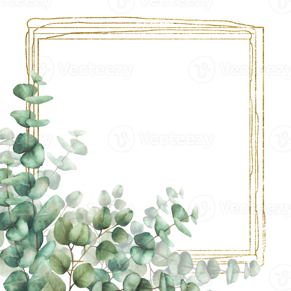 Eucalyptus leaves and branches with gold frame. Watercolor realistic hand drawn floral illustration. Square frame, template for wedding invitations, festive or greeting cards. Isolated from background png