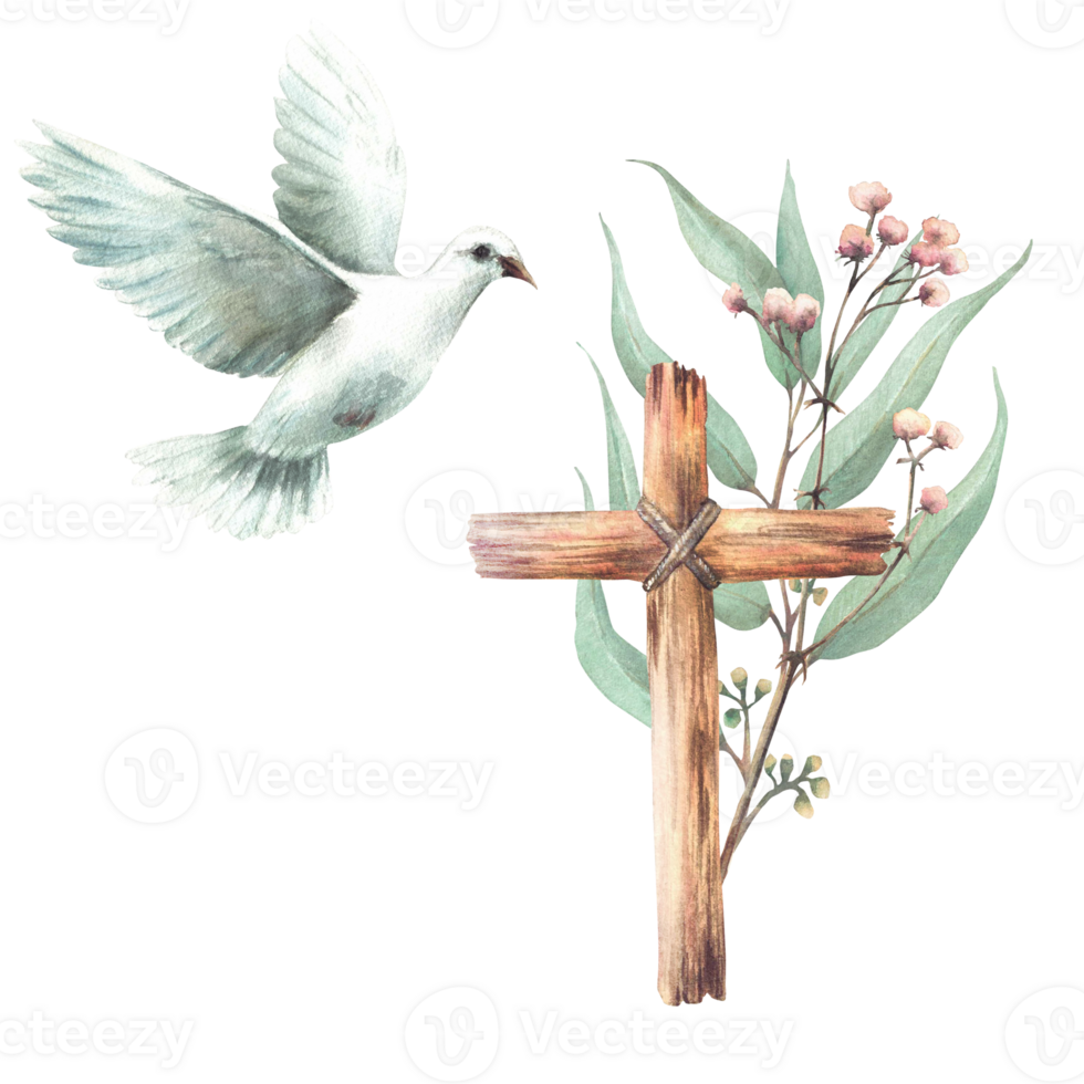 Flying white dove with wooden rustic cross on background of Eucalyptus plant green branches and small pink flowers twig. Pigeon bird. Watercolor hand drawn illustration. Religious isolated clip art png