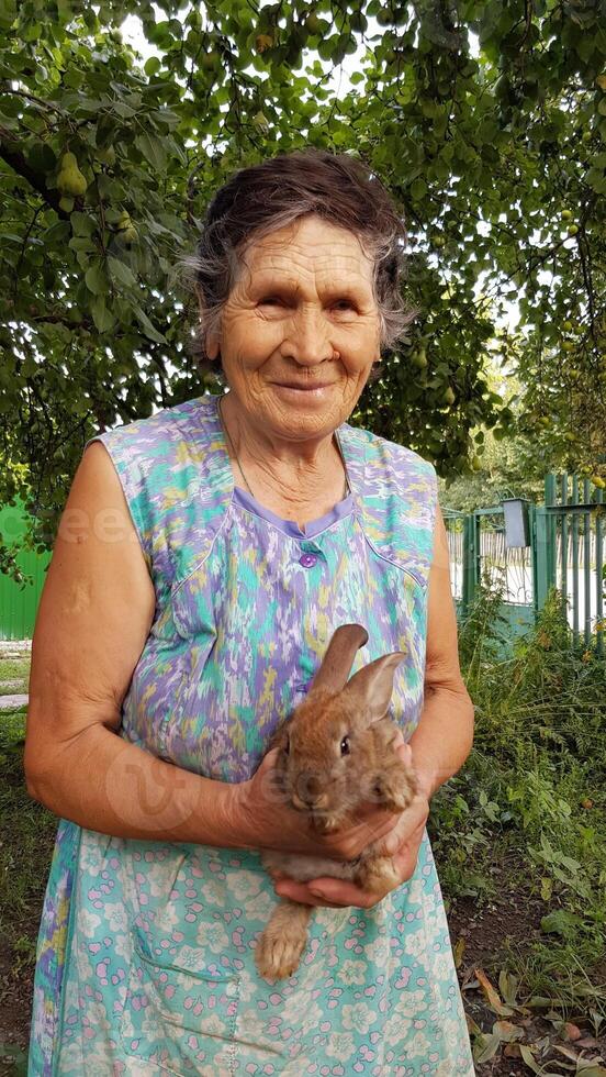 Senior woman holds little rabbit in her elderly hands. Smiling 80s granny in summer garden. Grandmother and brown fur little rabbit photo