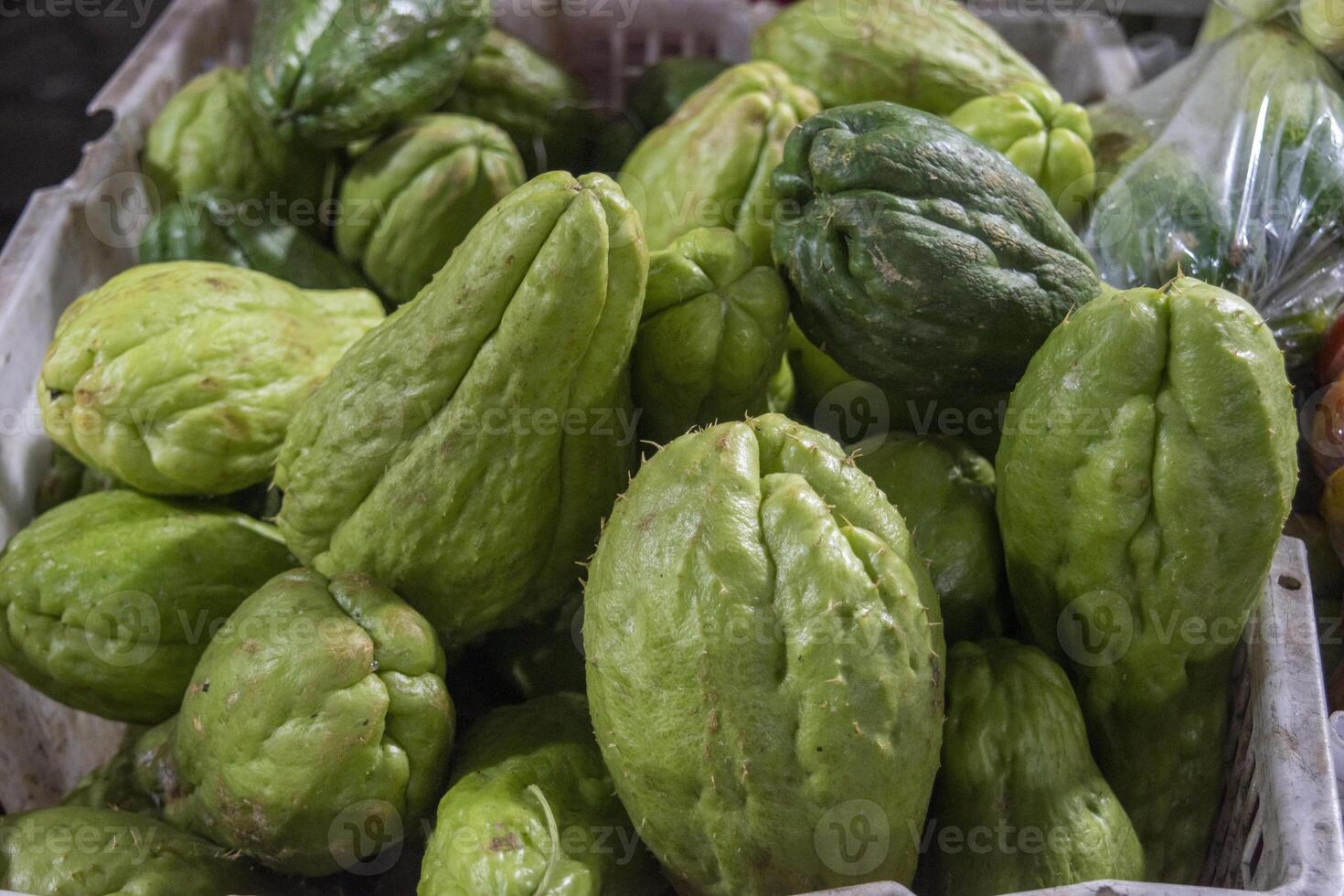 Chayote or Sicyos edulis , also known as christophine, mirliton and choko, is an edible plant belonging to the gourd family, Cucurbitaceae. photo