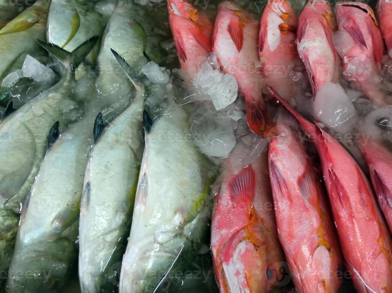 Some frozen grouper fish in the traditional market, a highly economic value fish because its delicious taste, nutritious, and rare photo