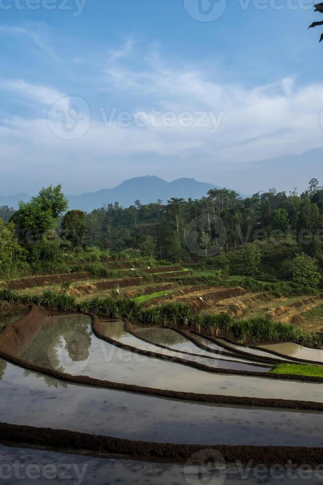 Scenic view of terraces paddy field with forest and a mountain under the blue sky. Beautiful landscape of agricultural field in the countryside. photo