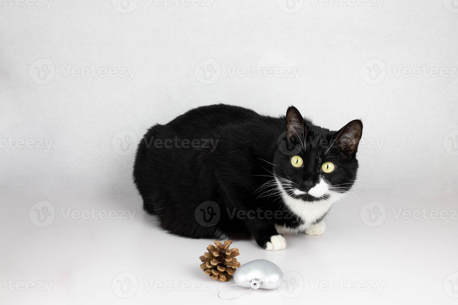 A curious black and white cat is sitting quietly on the table next to her lies a pine cone and a silver heart. photo