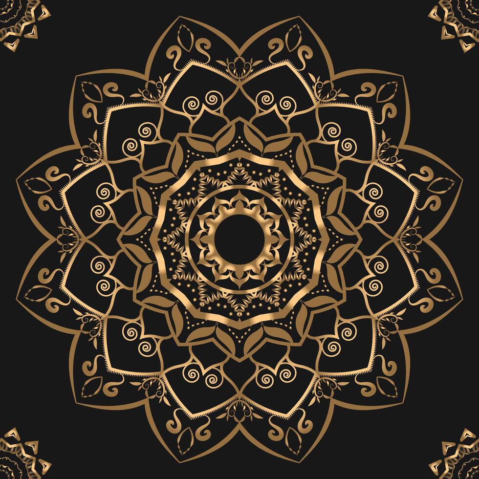 A Beauty of Mandala Art Stunning Gold Patterns on Black Canvas vector