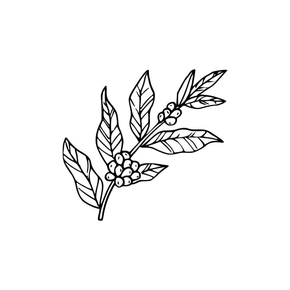 cartoon of coffee tree vector