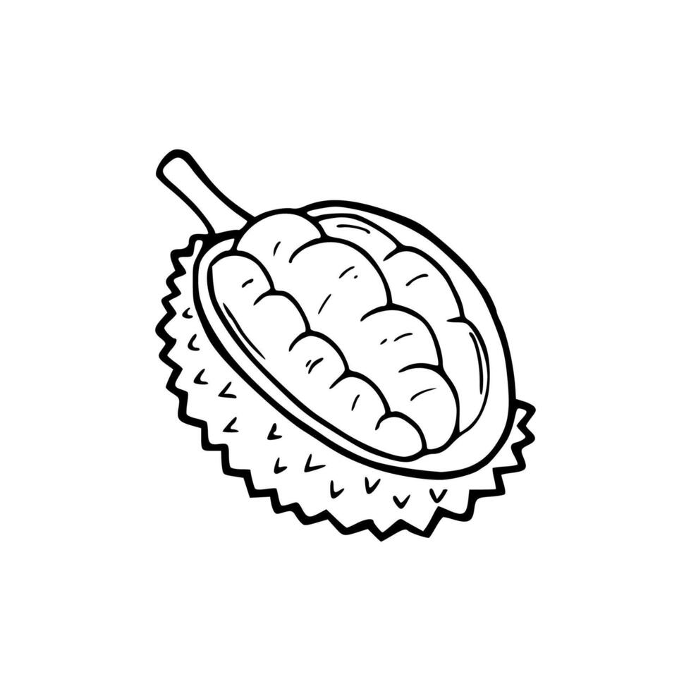 cartoon of king fruit vector