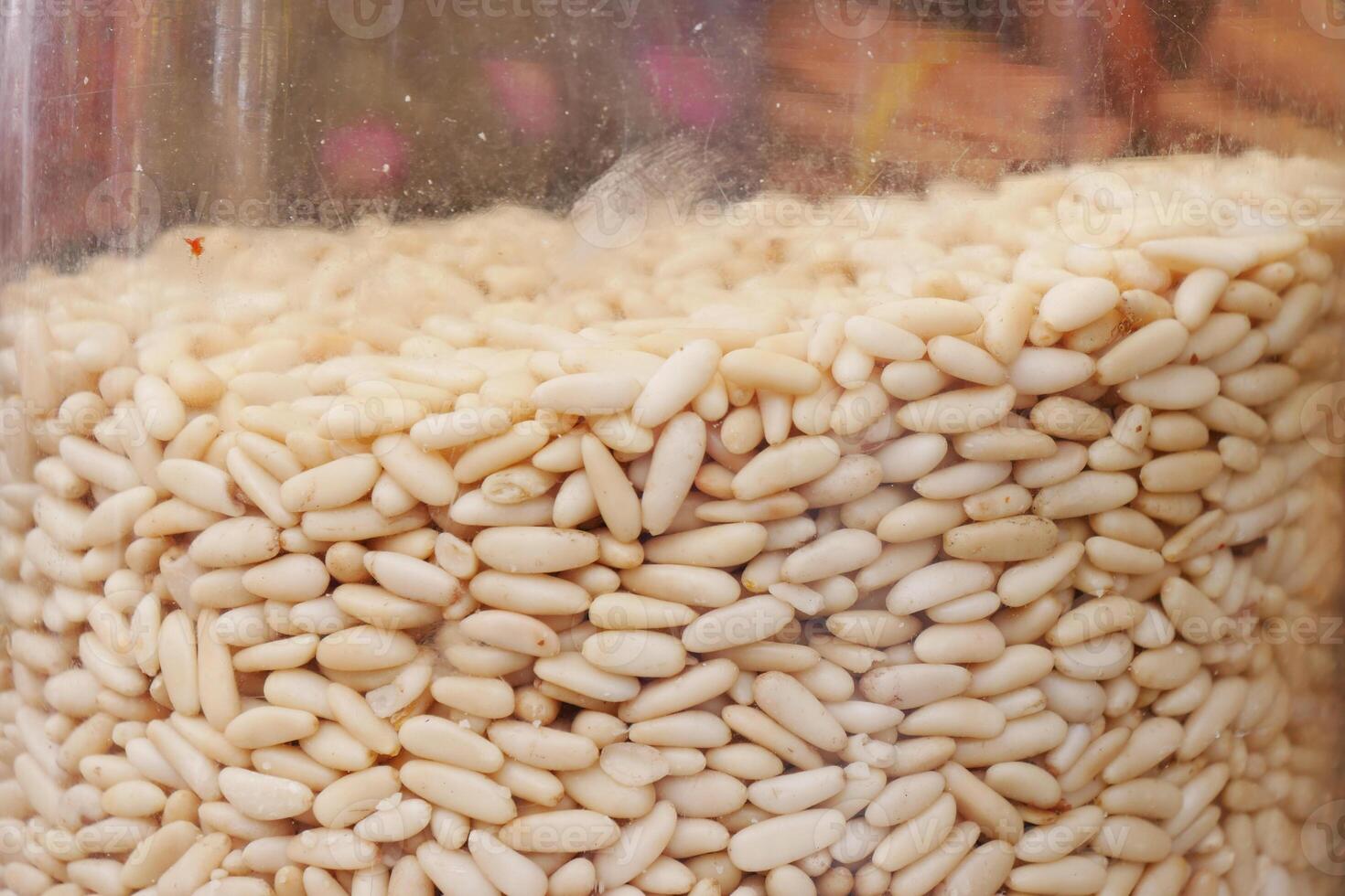 Healthy pine nuts in a jar on table photo