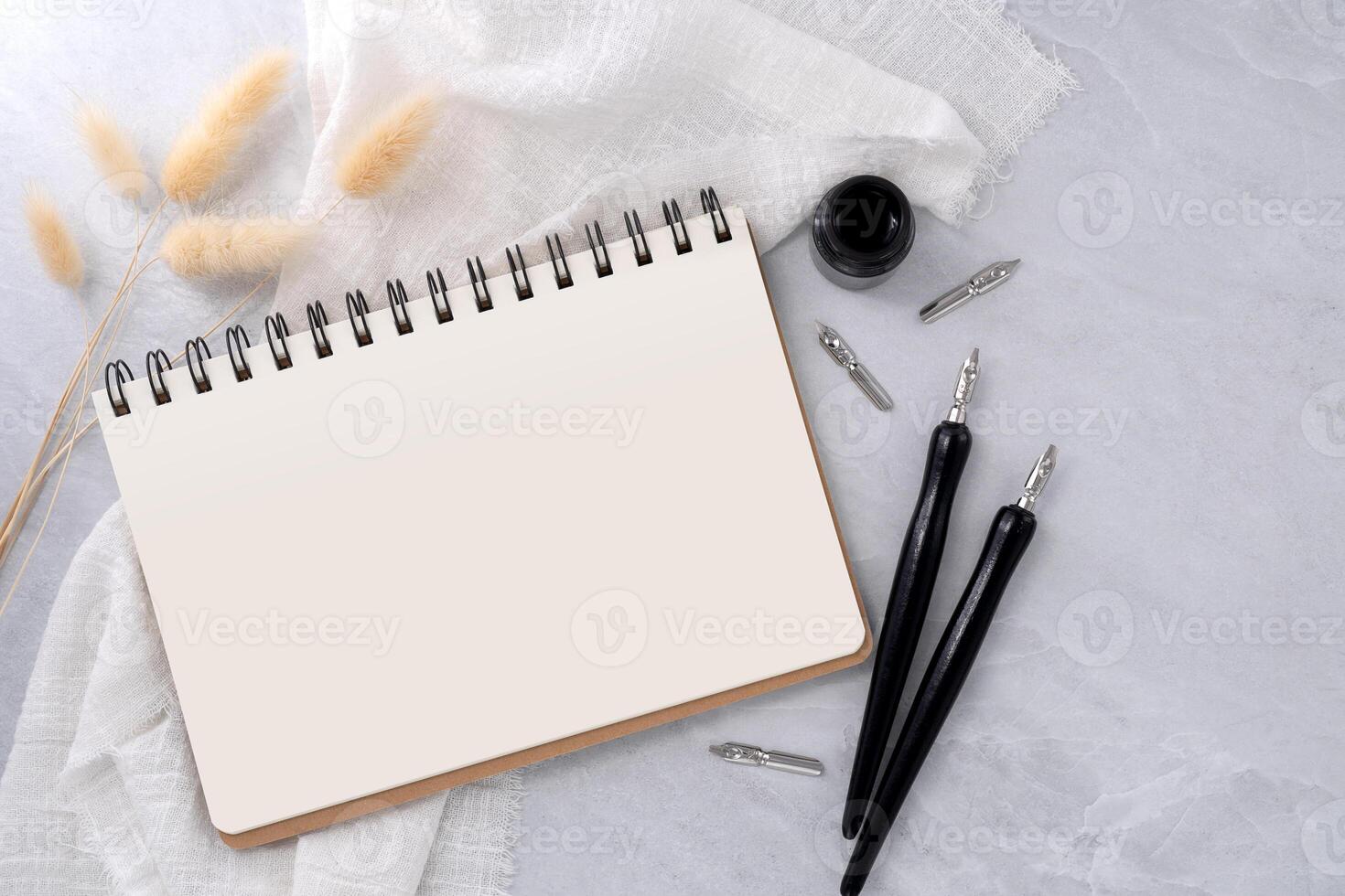 Blank book with dip pen and dried grass on stone texture background. photo