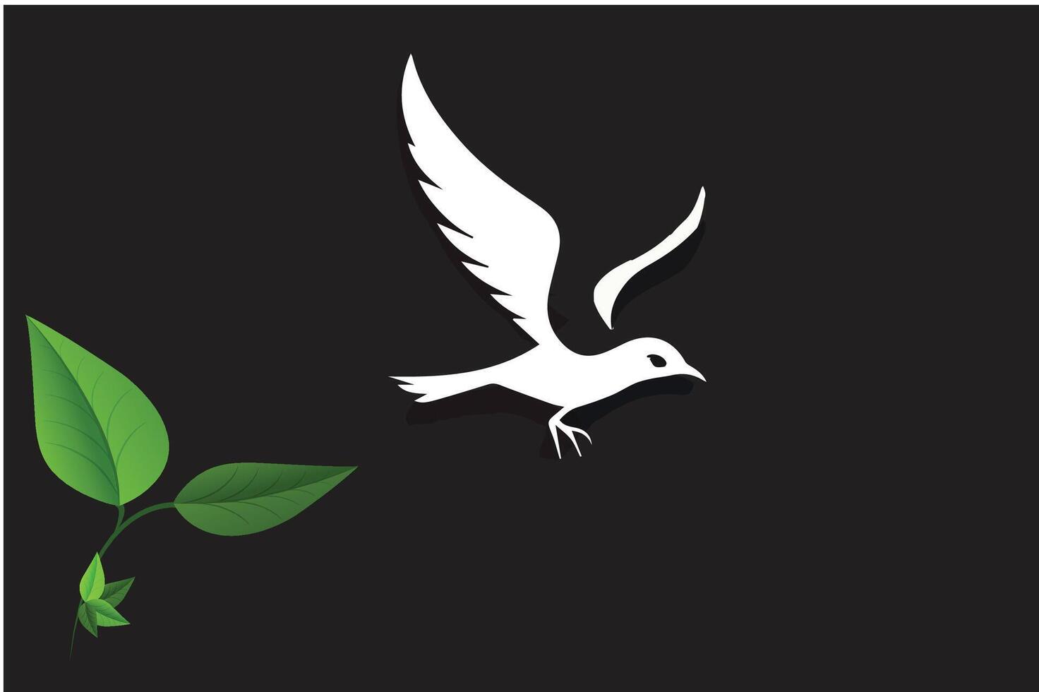 A white bird with a black background vector