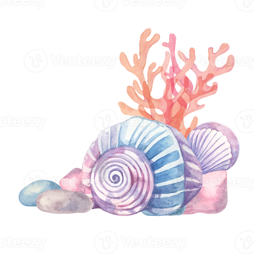 A vibrant seashell arrangement with pink coral, blue rocks, and spiral shells illustrated in watercolor. This clipart is ideal for wedding stationery, greeting cards, or nautical gift packaging png