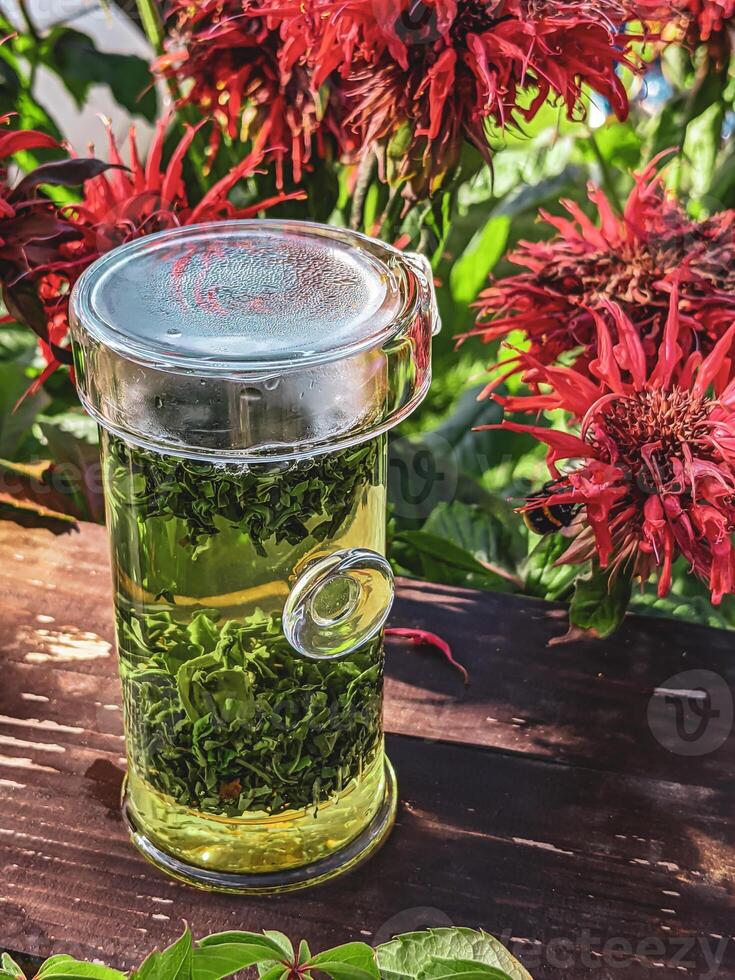 Enjoy a Refreshing Herbal Tea Infusion Served in a Beautiful and Tranquil Garden Setting photo