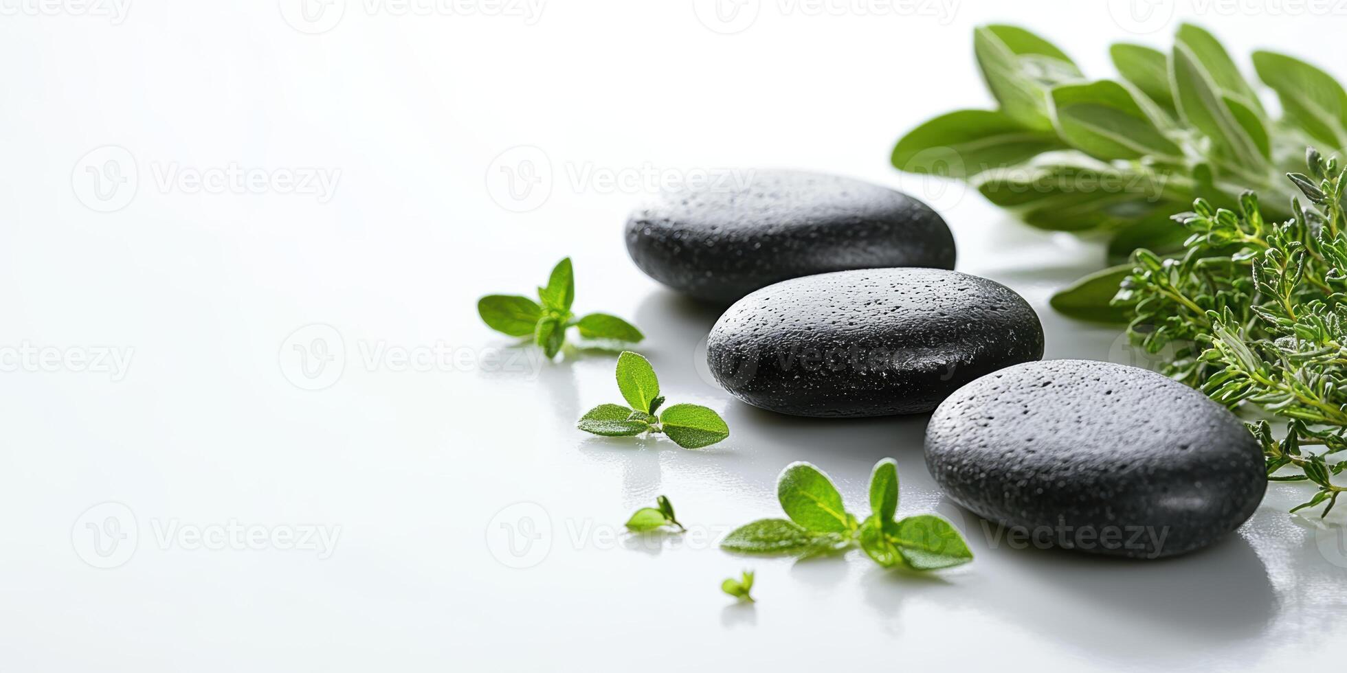 Neatly arranged black stones and green herbs on a clean white surface photo