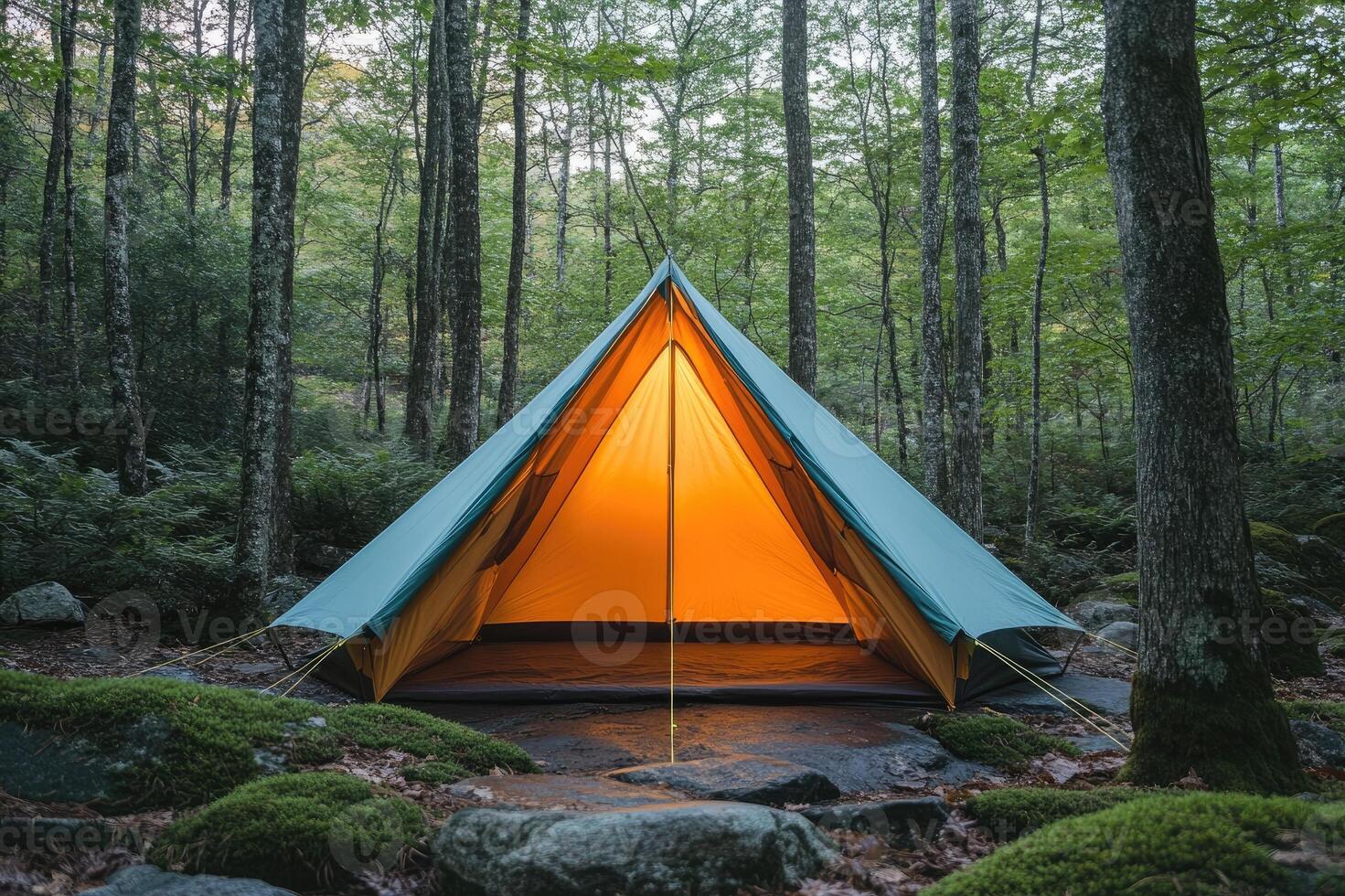 Illuminated tent invites campers to rest in a tranquil forest setting photo