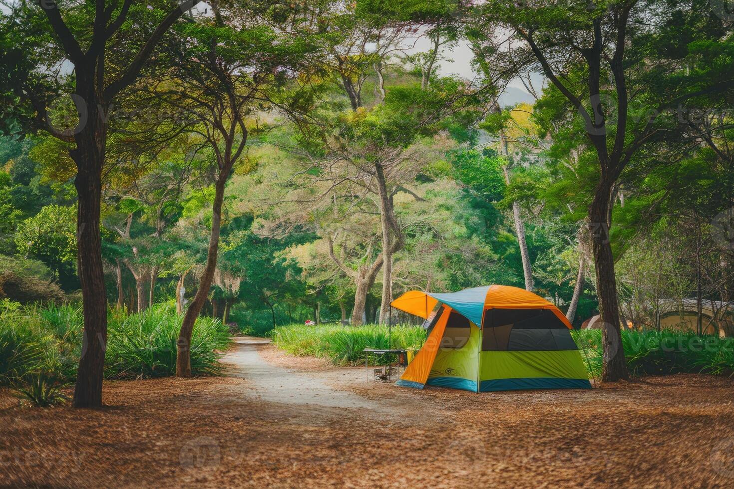 Camping tent set up in a forest campground surrounded by lush greenery photo