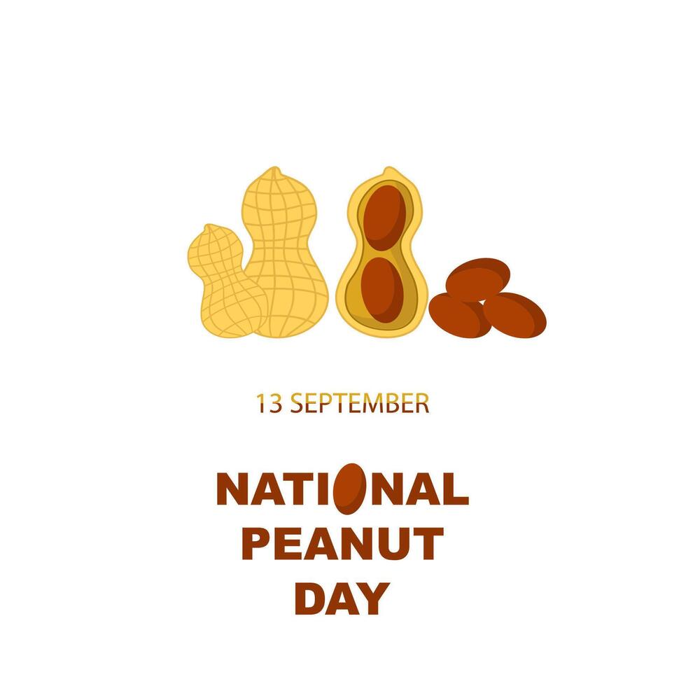 Tasty Peanut Set Isolated on White Background. Nut Seeds. vector