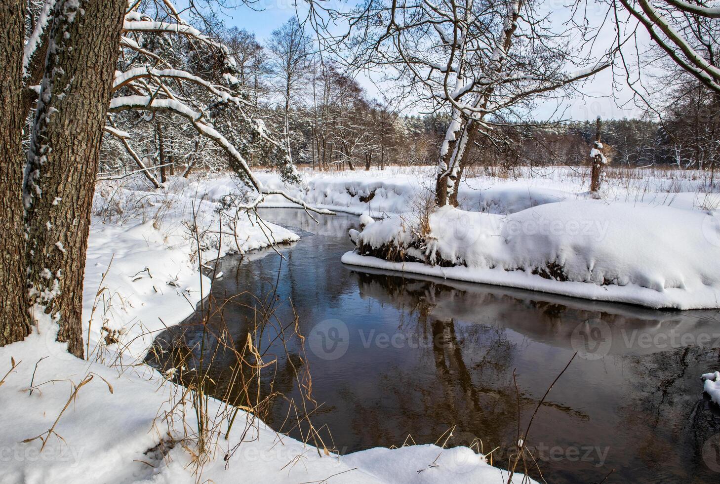Flowing river in a snowy winter forest. Branches of trees covered with fresh snow on a sunny day. Spring is coming photo