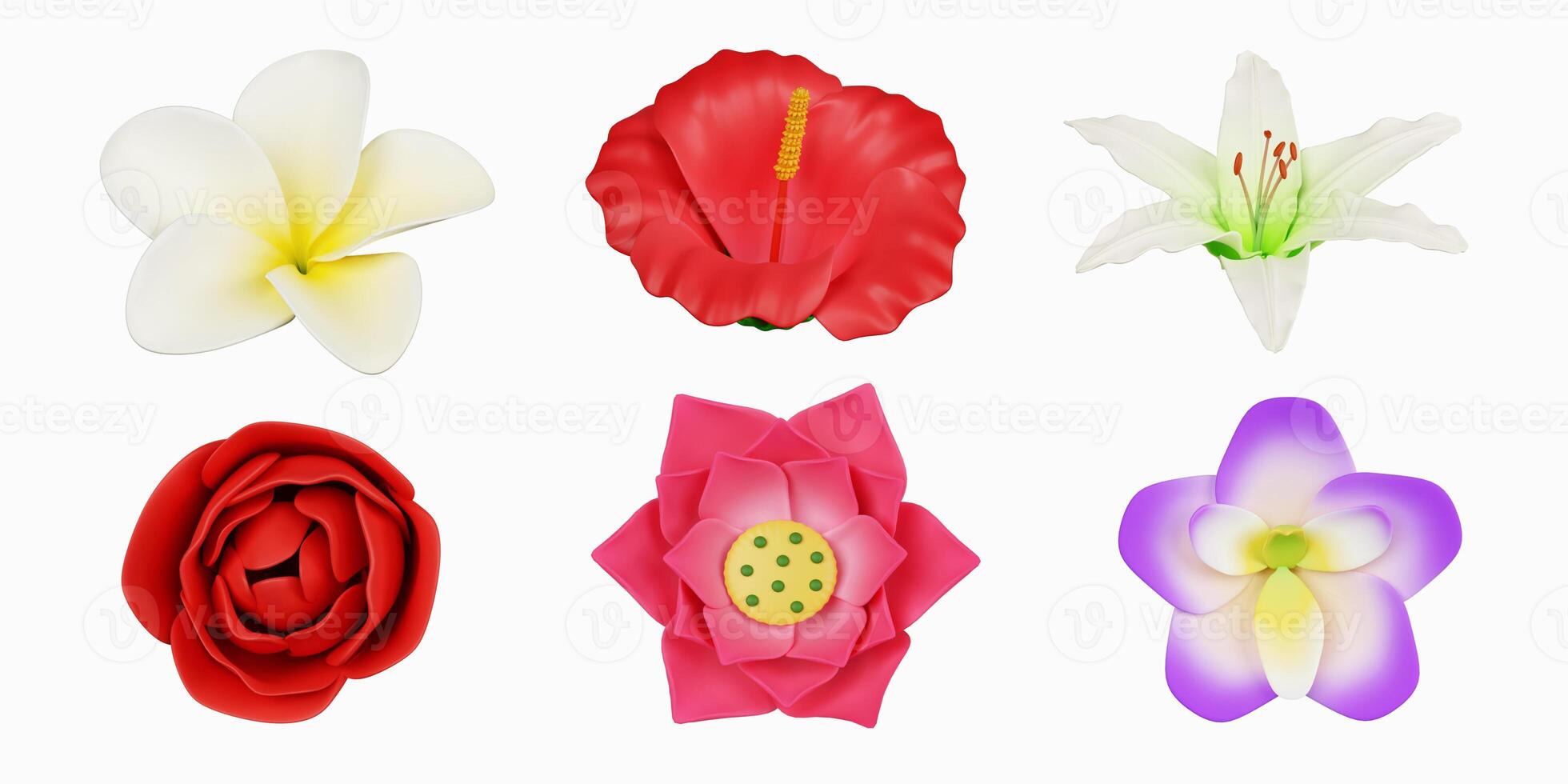 3d colorful flower set. icon isolated on white background. 3d rendering illustration. Clipping path. photo