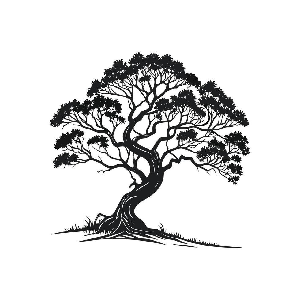 Creative simple Banyan Tree silhouette Style with white background template vector