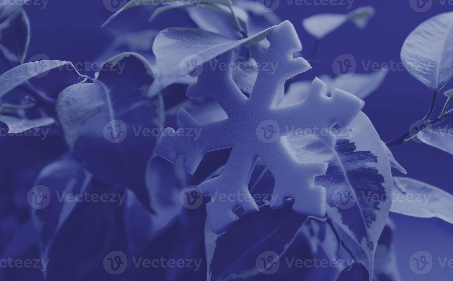 Cold Season Theme Image with Snowflake Sign On Frozen Leaves. Snowflake on a Leaves Close Up Stock Photo. Abstract Winter Pattern With Snowflake Symbol photo
