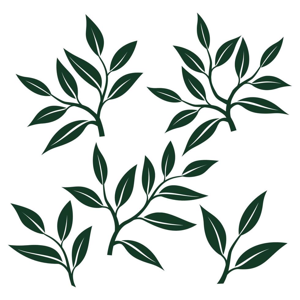 tea leaves . tea sprout with leaves. silhouette of tea leaves. tea Leaf silhouette Collection. illustration. vector