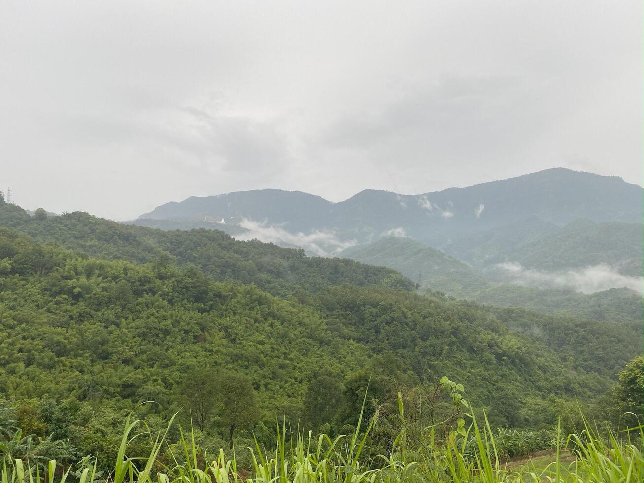 A view of a mountain range with a green photo