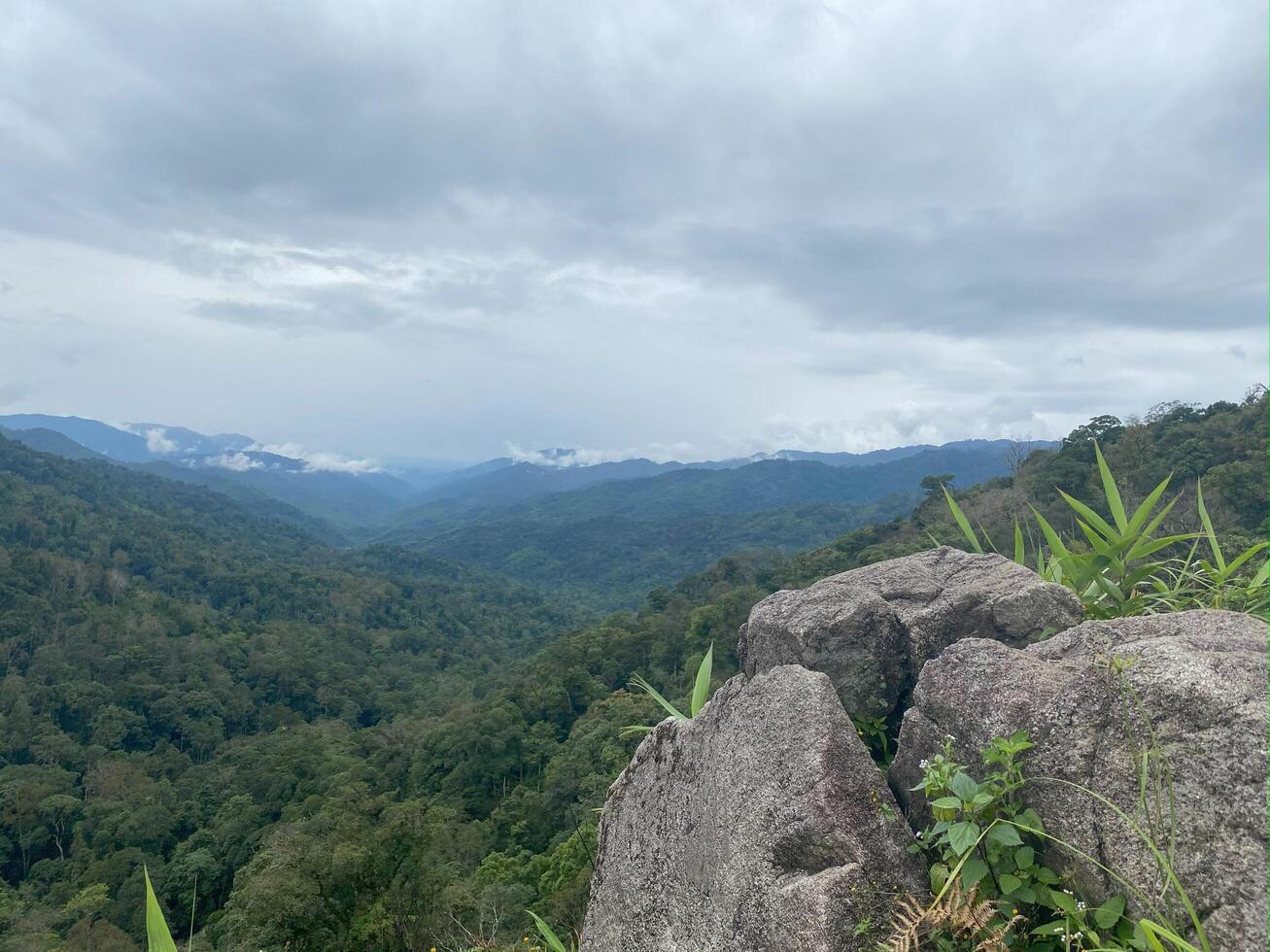 A view of the mountains and forest from a rocky hill photo