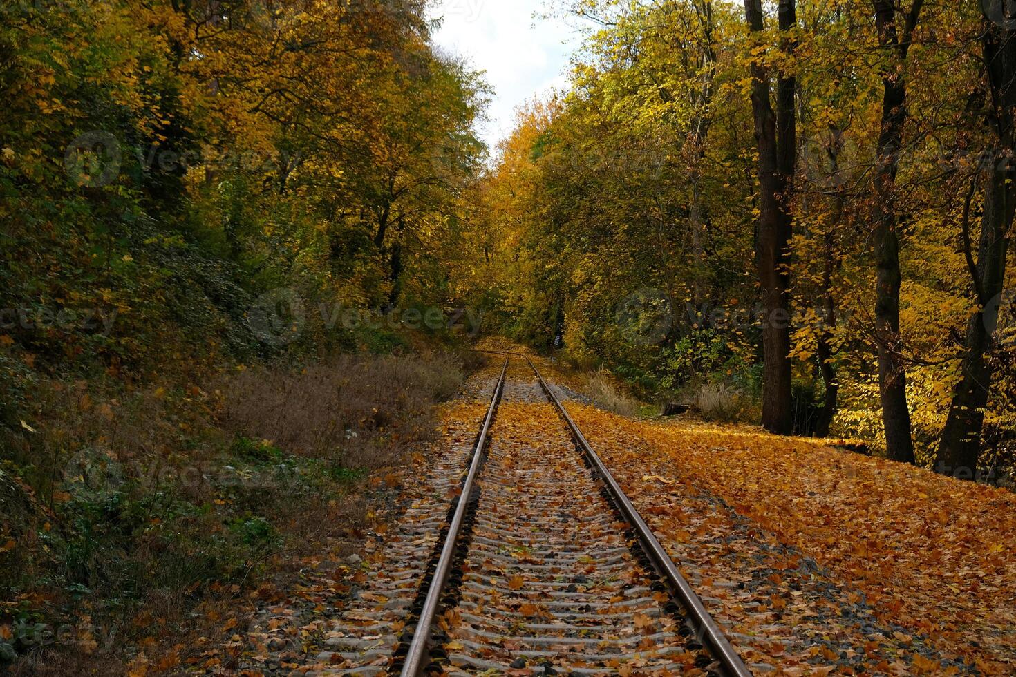 Picturesque landscape of railroad tracks stretching into the distance into autumn forest. Trees in vibrant shades of red, orange and yellow foliage create a stunning natural autumn blurred background. photo
