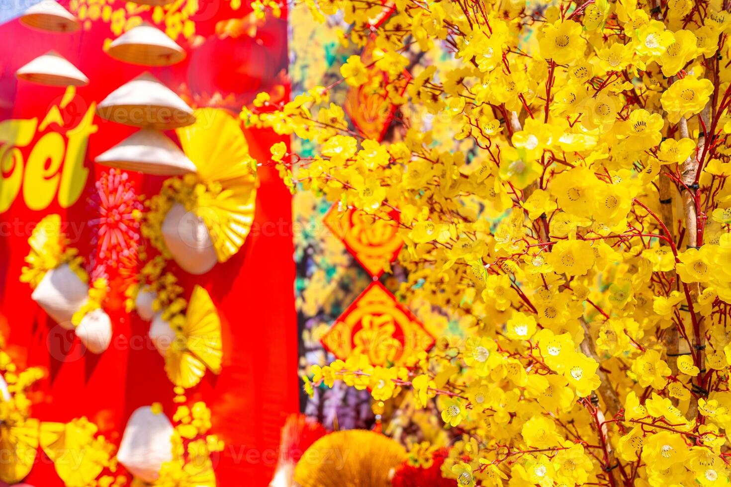 Ochna integerrima or Hoa Mai tree with lucky money decoration. Traditional culture on Tet Holiday in Vietnam photo