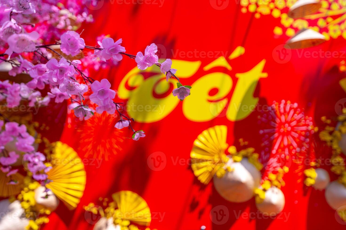 Ochna integerrima or Hoa Mai tree with lucky money decoration. Traditional culture on Tet Holiday in Vietnam photo
