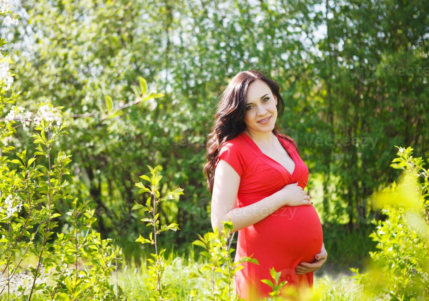 Portrait of beautiful pregnant woman in red dress photo