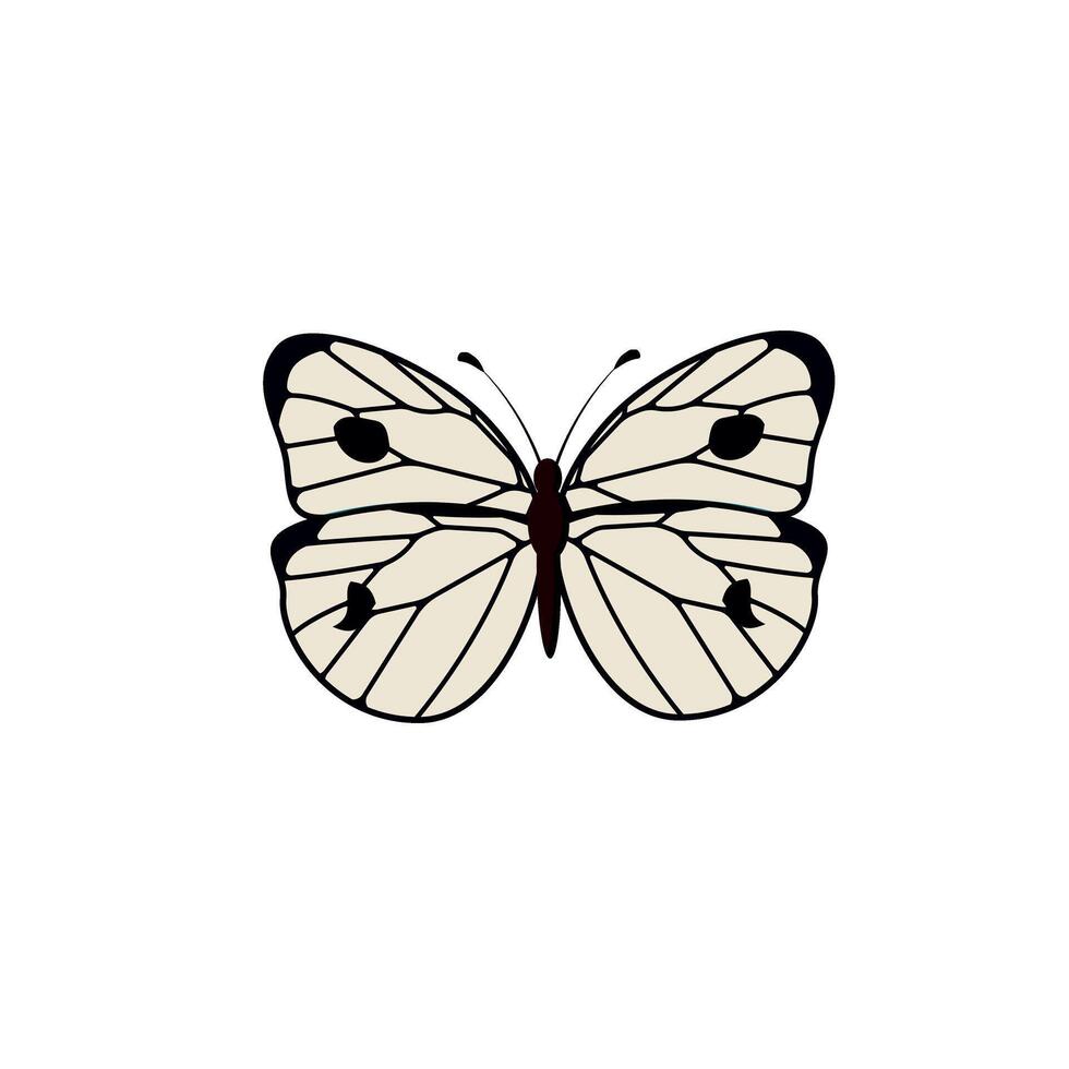 Cabbage butterfly flying also called Pieris brassicae family Pieridae. Large white moth with beautiful exotic wings, top view. Flat illustration beautiful insect isolated on white background. vector