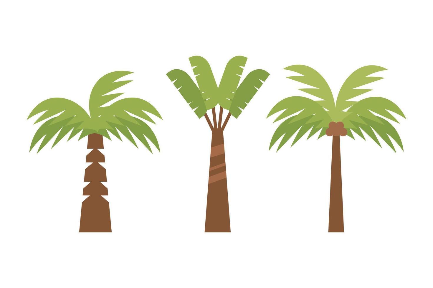 types of palm tree illustration in flat style design vector