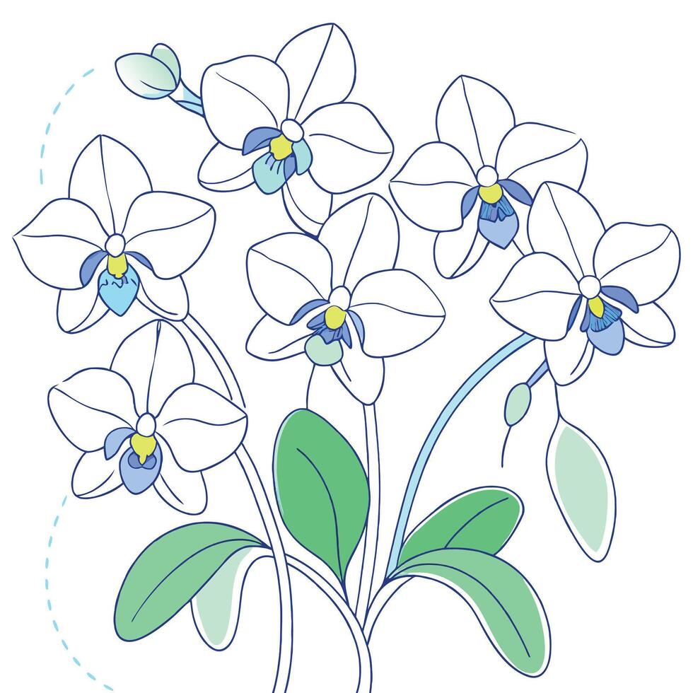 Orchid flower outline coloring book page line art drawing for children and adults vector