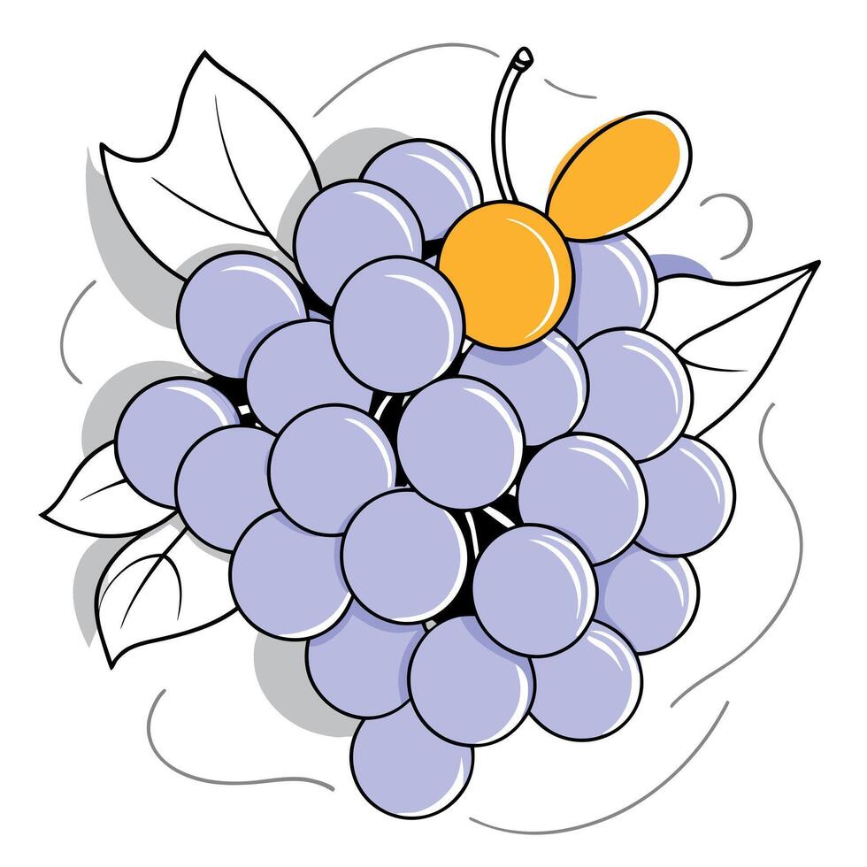 Hand drawn grape vine outline illustration vector