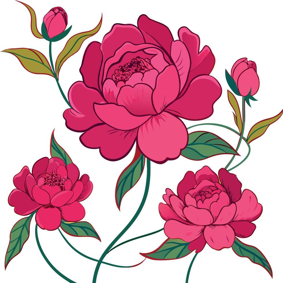 Hand-drawn poppy flowers illustration vector