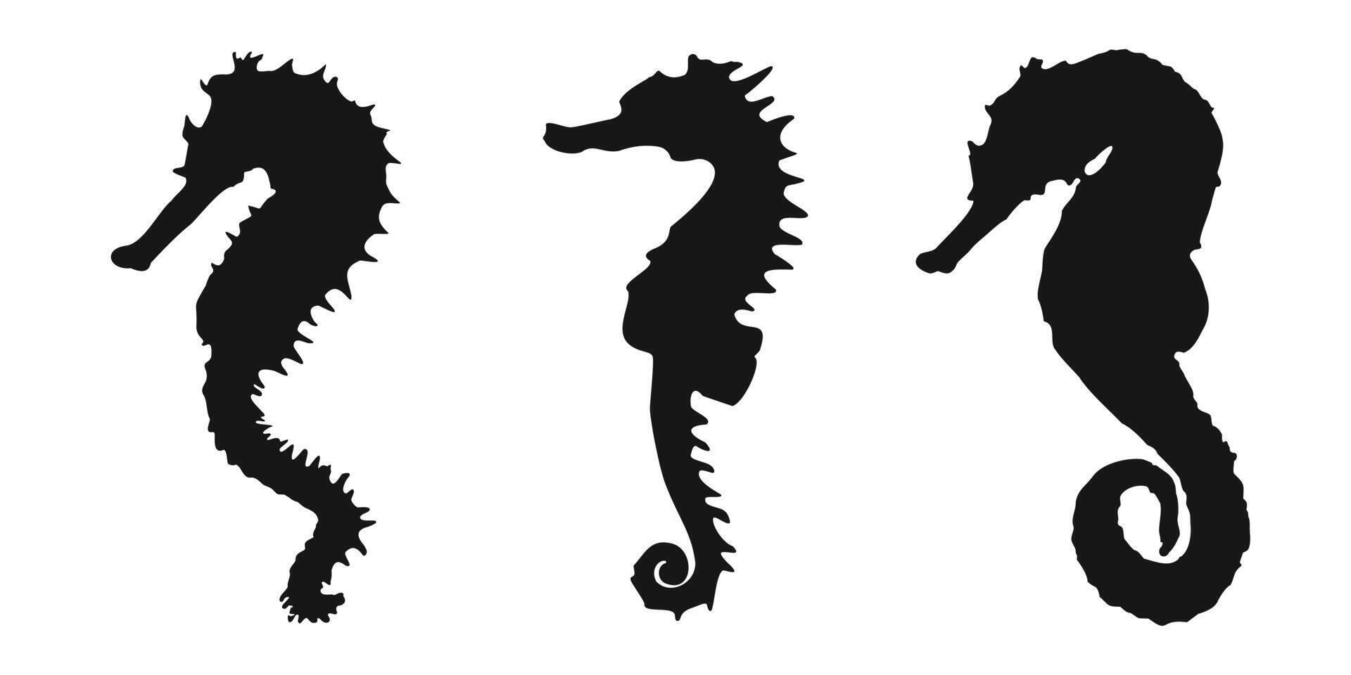 Set black sea horse sign icon on white background. Clipart illustration vector